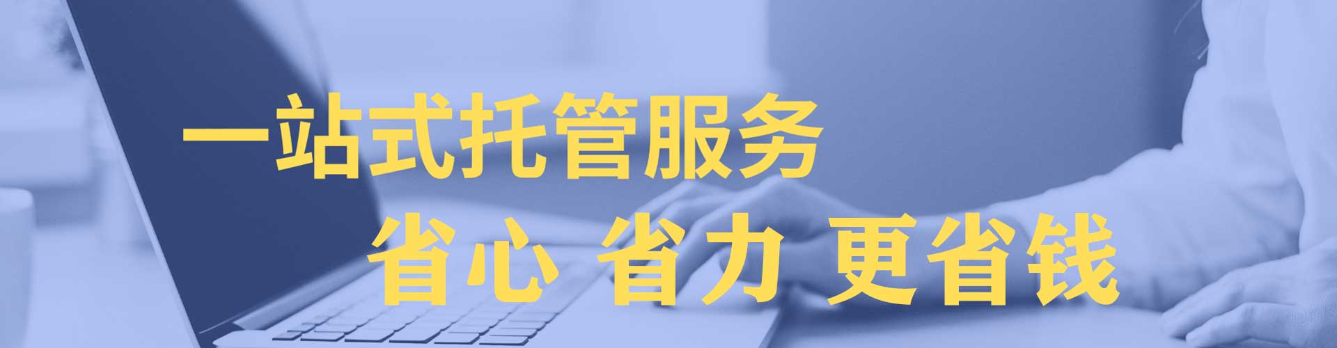 龙井信息流托管